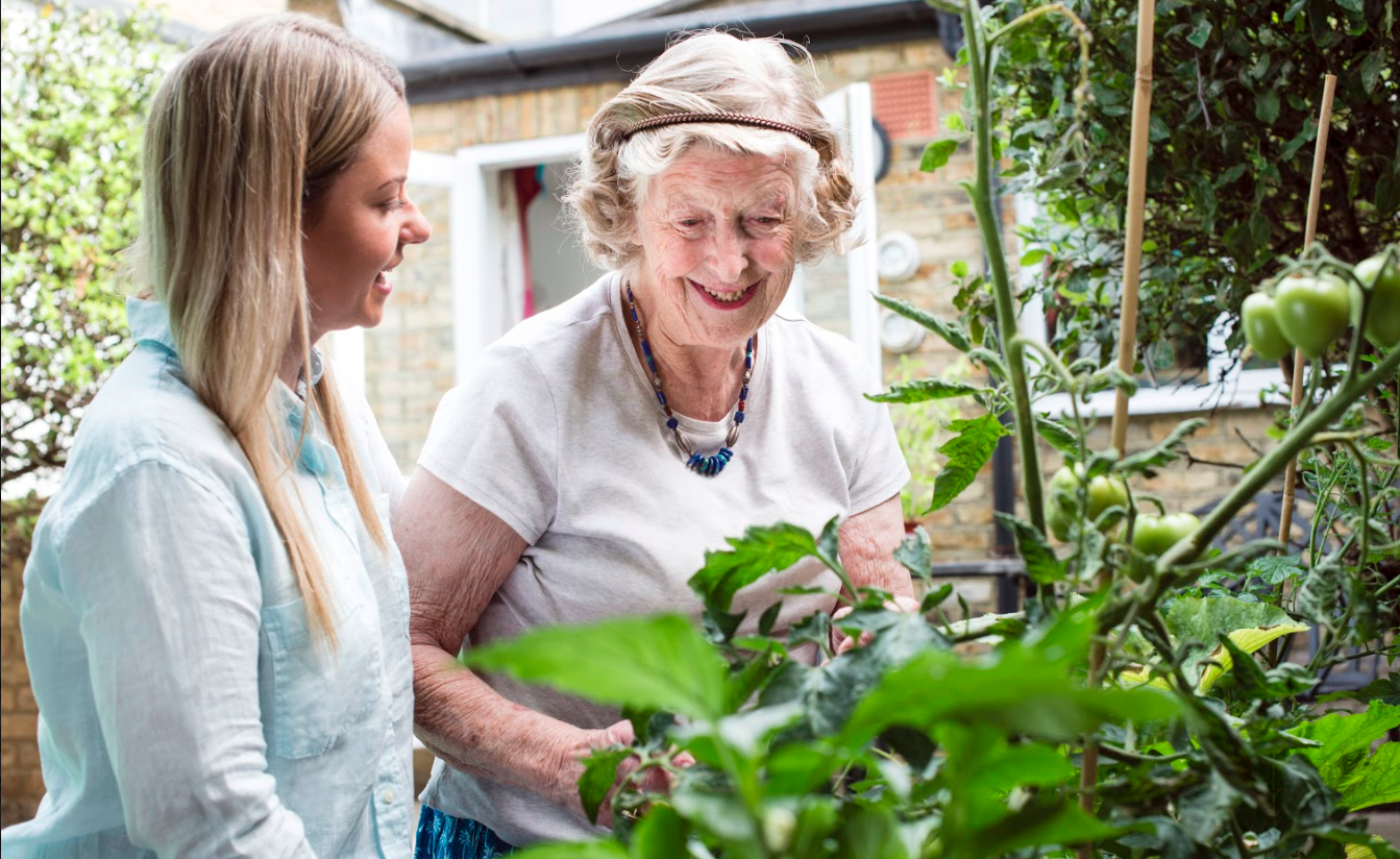 live in care London, elder care london