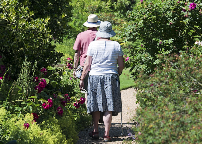 recovery from hip replacement