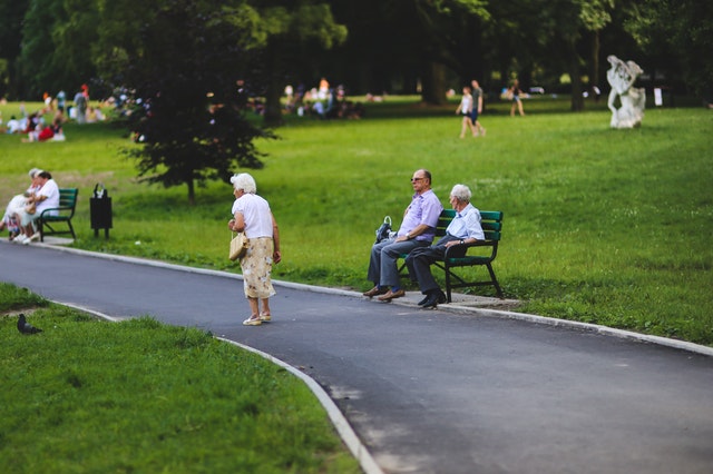 Wandering in dementia