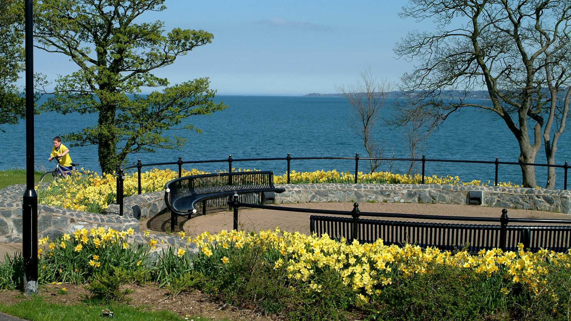 Care Homes in Newtownabbey Is Live in Care an Option?