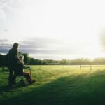 A carer pushing an elderly person in a wheelchair through a sunlit park